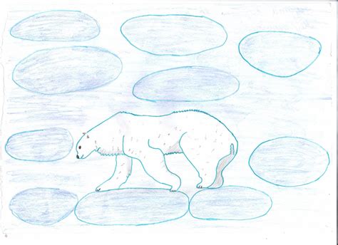 Нарисовать белого медведя: Как нарисовать белого медведя | Пошаговый ...