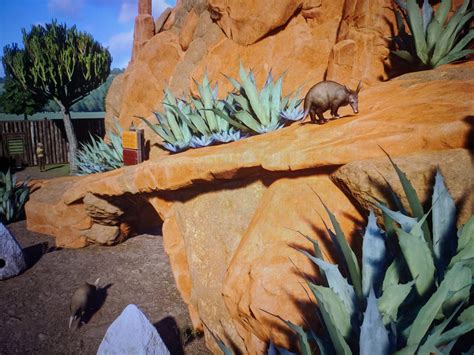 Aardvark Exhibit entry | Planet Zoo Amino
