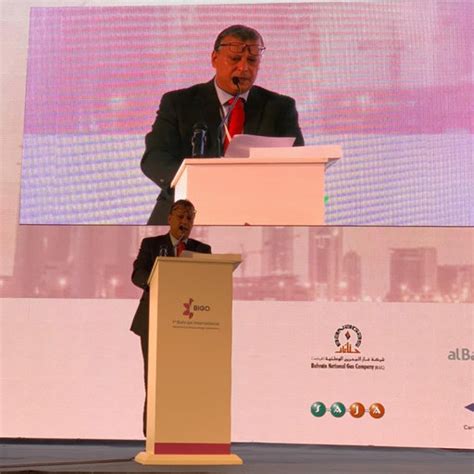 Diaa RIZK | CEO | MSc, FRCOG, FRCS, MD, Dip BA | Obstetrics and ...