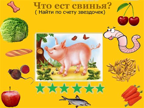 Что едят домашние животные?