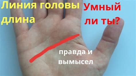 Линия головы: длина. Умный ли ты? Правда и вымысел//Хиромантия - YouTube