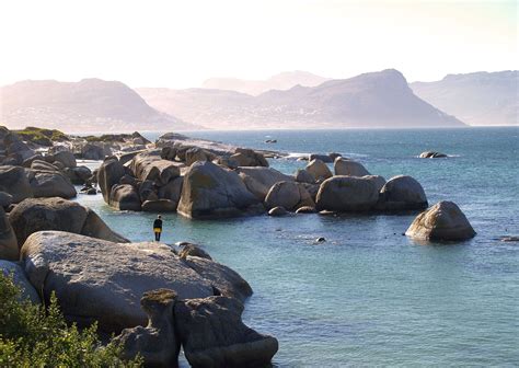 Picture Hanging Cape Town at Victoria Brownlee blog