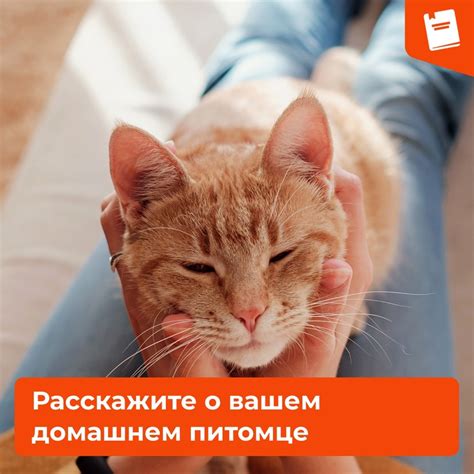 Сообщество «Вестник ГБОУ лицей № 179 Калининского района СПб» ВКонтакте ...