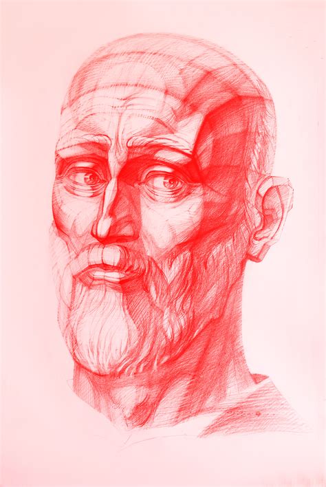 drawing head   behance