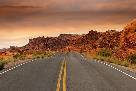 royalty  photo forest  concrete road pickpik