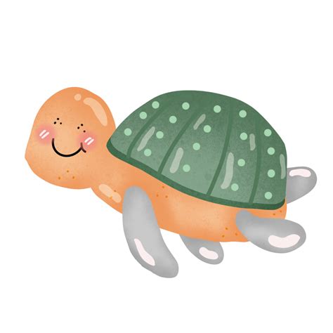 experience  charm   cute sea animal illustration adorable