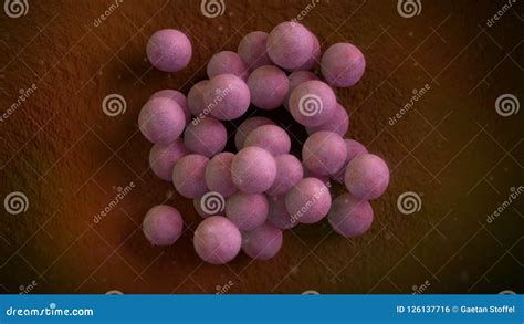 3D Illustration Of A Staphylococcus Aureus Bacteria | CartoonDealer.com ...