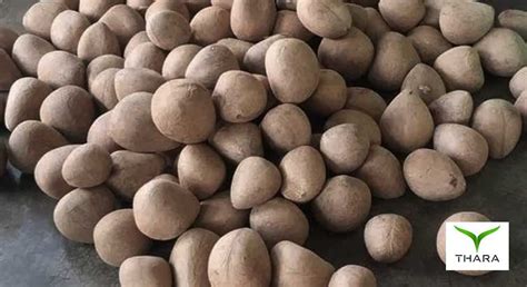 copra thara substrates