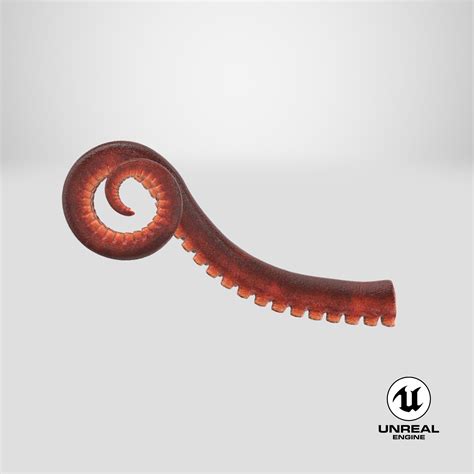 Octopus Tentacle 05 3D Model $34 - .max .obj .c4d .unitypackage .upk