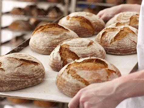 Services - Fresh Bakery