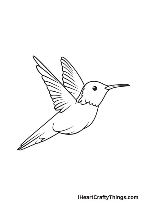 Hummingbird Drawing — How To Draw A Hummingbird Step By Step