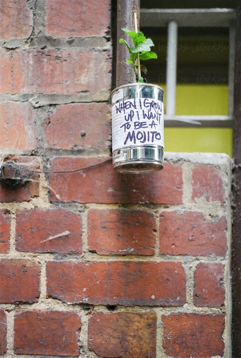 "Guerilla Gardening" by Stocksy Contributor "Rowena Naylor" - Stocksy