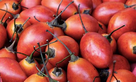 Especializarse venganza esta noche jugo de tomate de arbol colombia ...