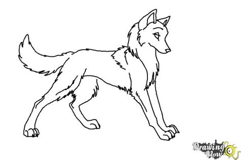 How to Draw Anime Wolves - DrawingNow