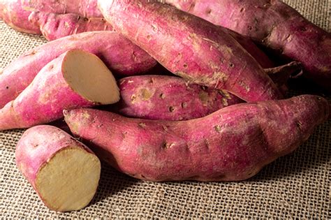 How to grow kumara | Yates
