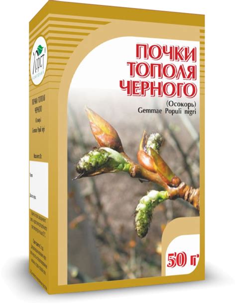 Компания ХОРСТ - ТОПОЛЬ черный, почки
