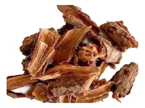 Chá De Casca De Cajueiro Contra-indicações - Casca De Cajueiro - Casca Para Chá - 250gr | MercadoLivre