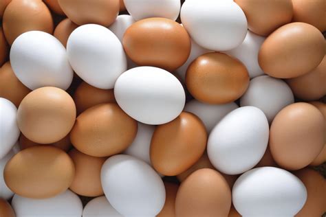 Lifehack: Egg Water Test – How to See If Eggs Have Gone Bad | BGR
