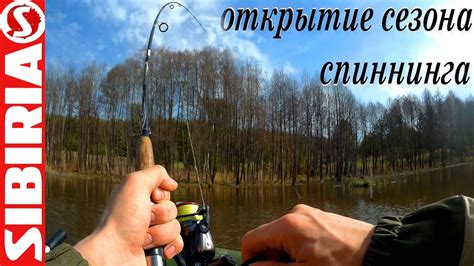 Деревенская рыбалка на пруду Открытие сезона спиннинга Воблеры, блёсны ...