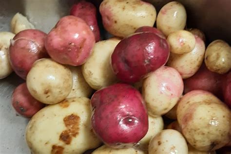 coming  spuds commonside community development trust