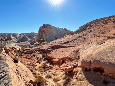 Conserve Nevada Program | DCNR