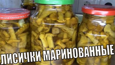 Простое маринование грибов лисичек. Рецепт маринованных лисичек. Грибы ...