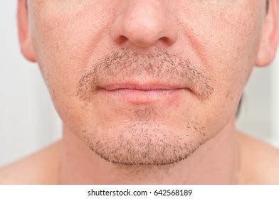 unshaven bottom part mans face stock photo  shutterstock