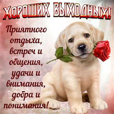 Отличных Выходных Гифки - 63 фото