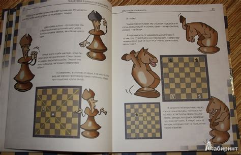 Книга: Приключения в шахматном королевстве - Халас, Геци. Купить книгу ...