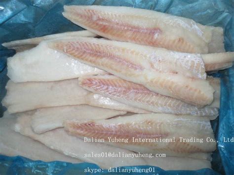 FROZEN ALASKA POLLOCK FILLETS - YUHENG (China Manufacturer) - Aquatic ...