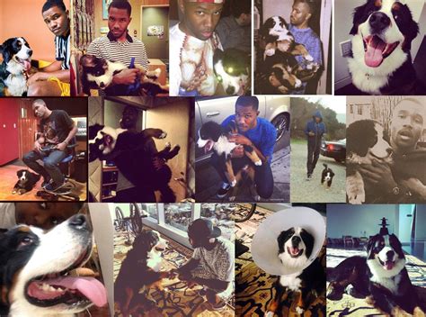 Here’s a reminder that Frank credited his dog, Everest, as the ...