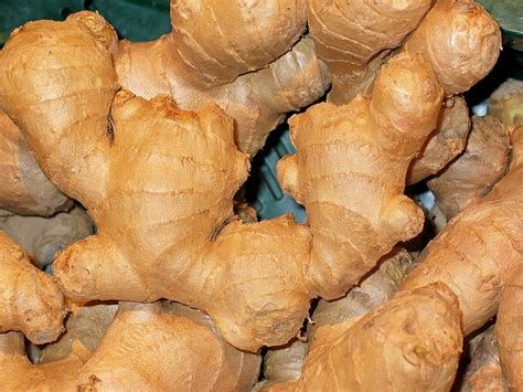 Ginger Vegetables Vegetable Market - Free photo on Pixabay - Pixabay