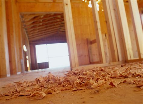 How to repair termite damage to a floor joist – Artofit