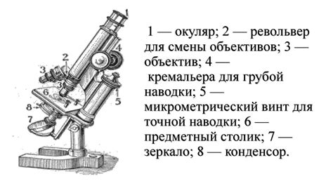 Микроскоп. Виды микроскопов - презентация онлайн