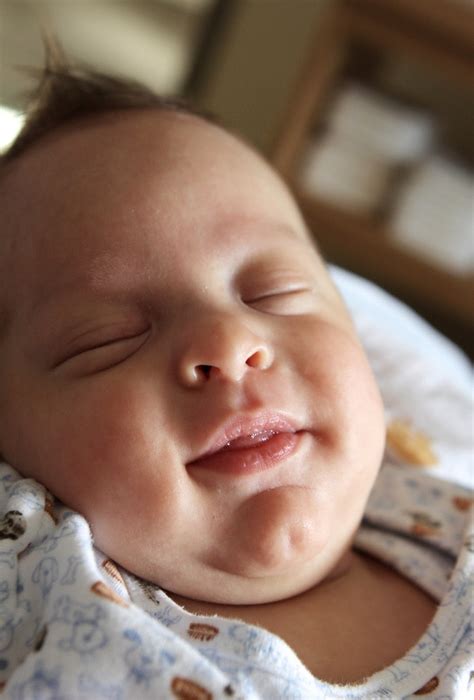 cleft chins adorable  cleft chin ideas  save today clefts