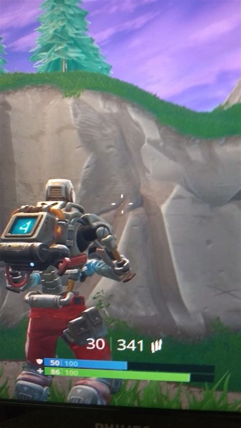hidden cat and pigeon near pleasant?! : r/FortNiteBR