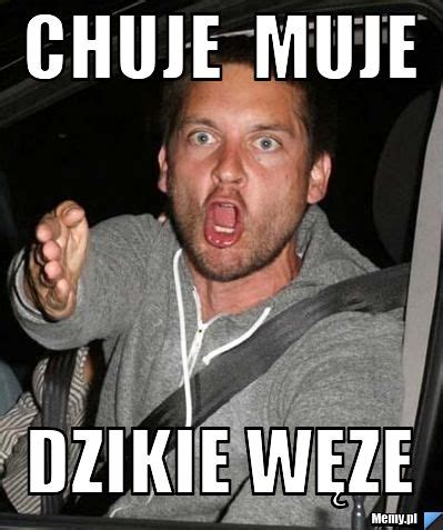 Chuje muje dzikie węze - Memy.pl