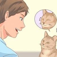 Top 10 Weirdest WikiHow Articles that Actually Exist - TheTopTens