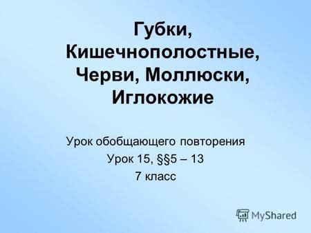 Презентация на тему: "Губки, Кишечнополостные, Черви, Моллюски ...