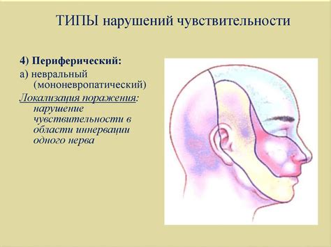 Чувствительная сфера человека - презентация онлайн