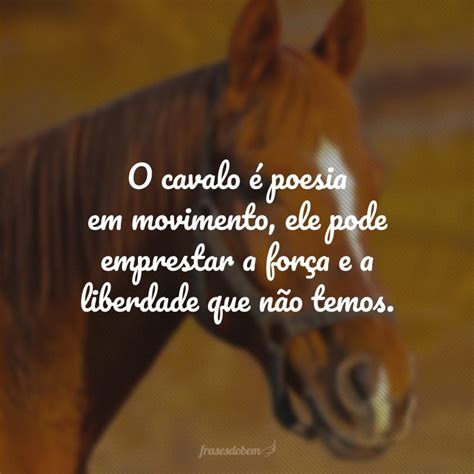 40 frases de cavalos que mostram seu apreço por este animal