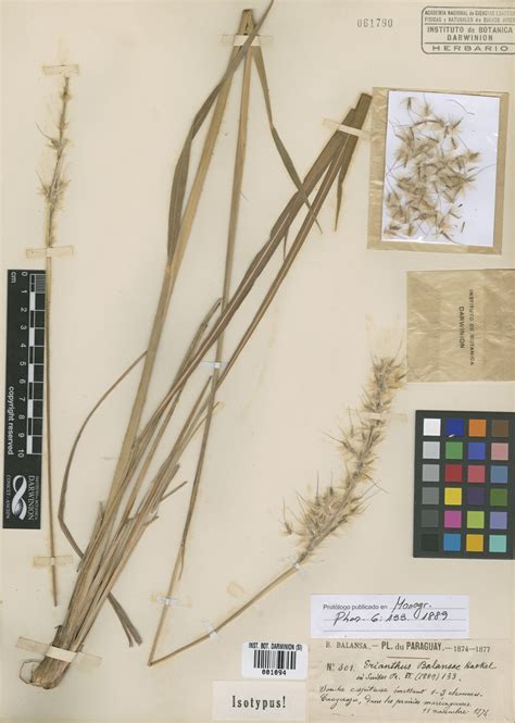 Instituto de Botánica Darwinion