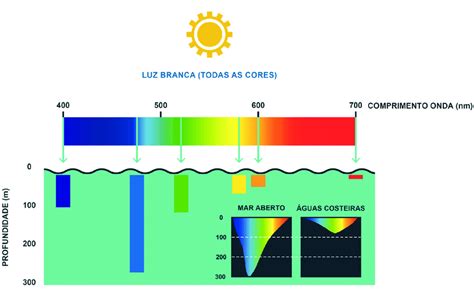 Profundidade de penetração dos diferentes comprimentos de onda (cores ...