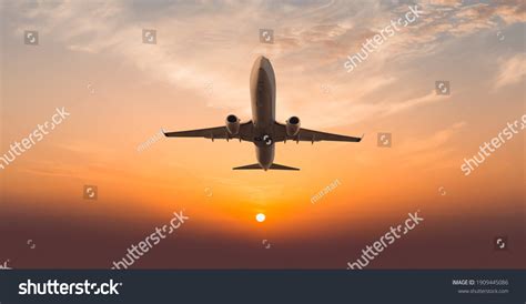 plane  sunset images stock   objects vectors