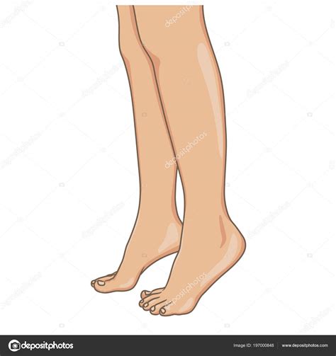 Female Legs Barefoot Side View Vector Illustration Hand Drawn Cartoon Stock Vector Image by ...