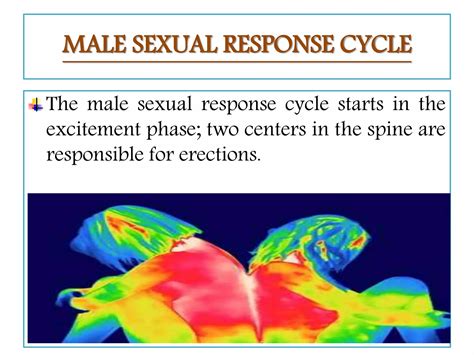 Human sexuality and human sexual response cycle | PPTX