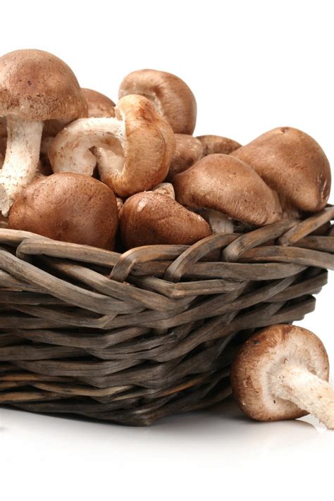 This Common Vegetable Is The Shiitake Mushrooms Alternative You Need - RYZE Superfoods
