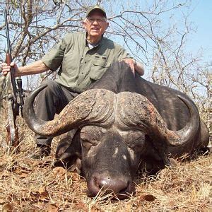 Hunting Buffalo | AfricaHunting.com