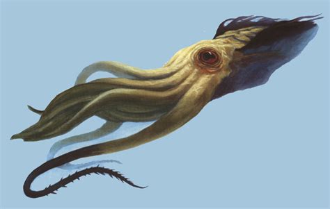 Kraken