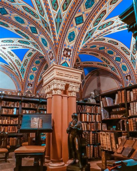 6 самых красивых библиотек Петербурга | Sobaka.ru